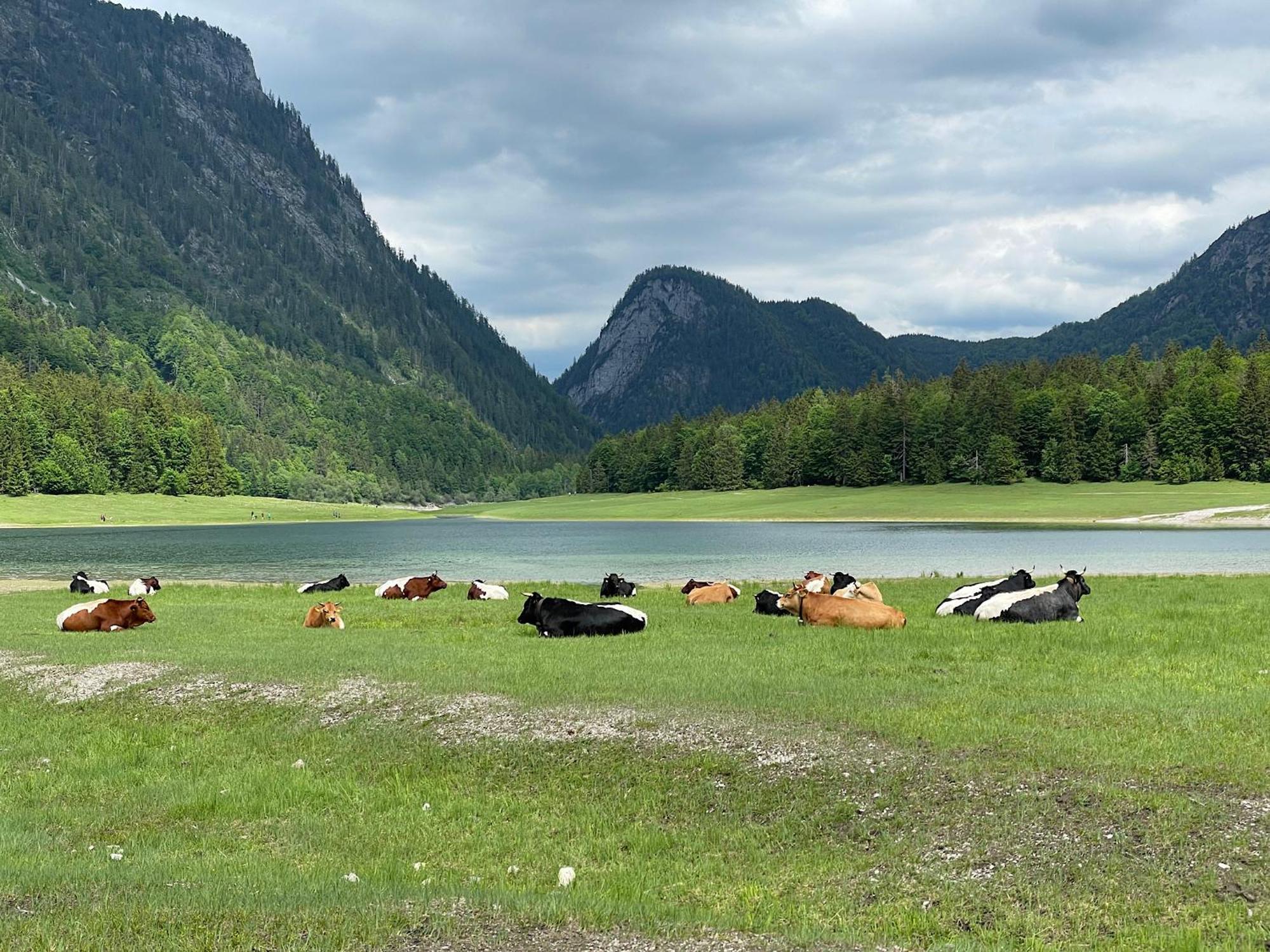 Ferienwohnung Eisenberger Inkl. Chiemgaukarte Ruhpolding Exteriér fotografie